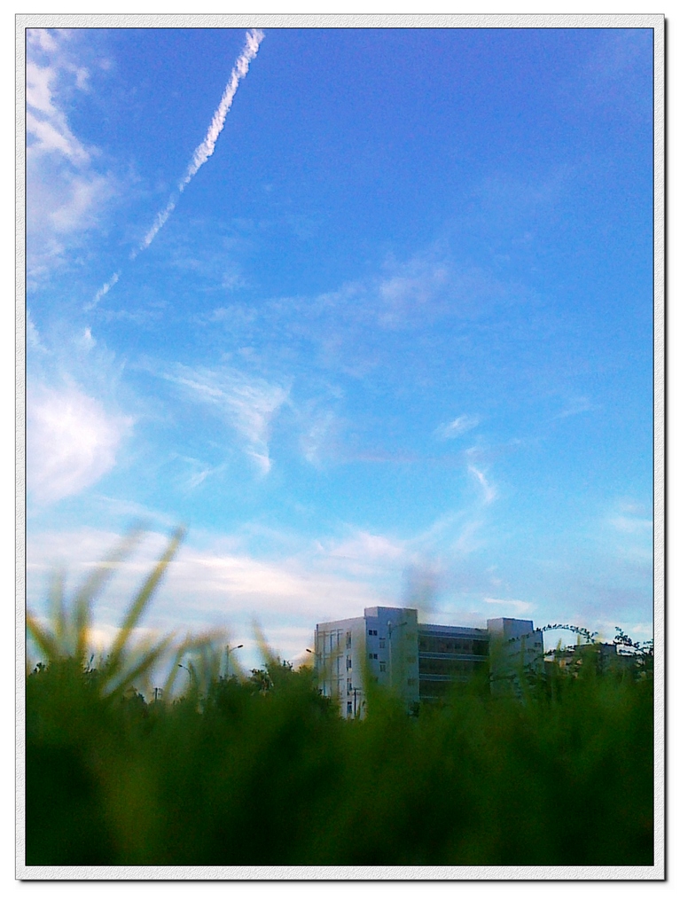 201007020470000.jpg