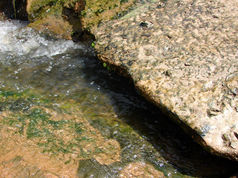 DSC00610.jpg