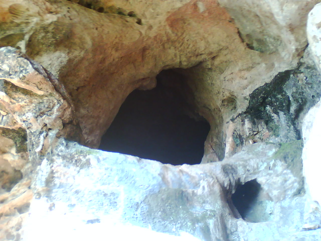 IMG0263A.jpg