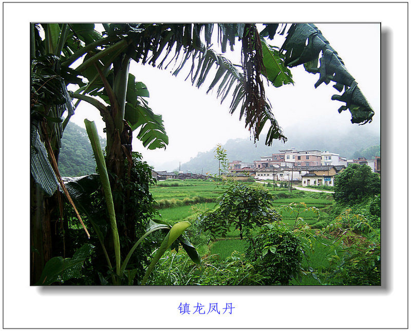 新建图片1.jpg