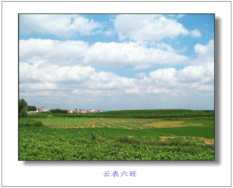 新建图片4.jpg