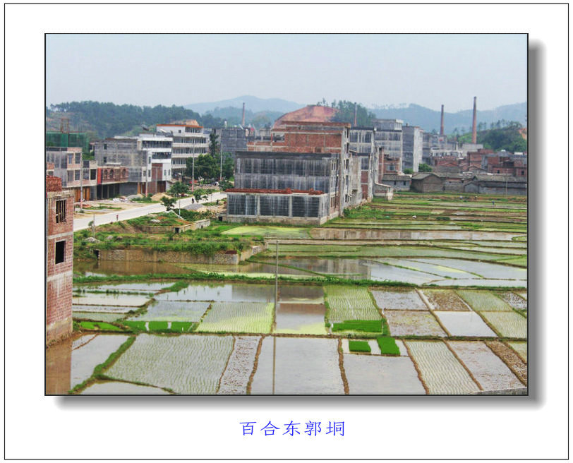 新建图片5.jpg