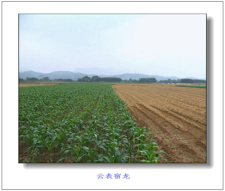新建图片6.jpg