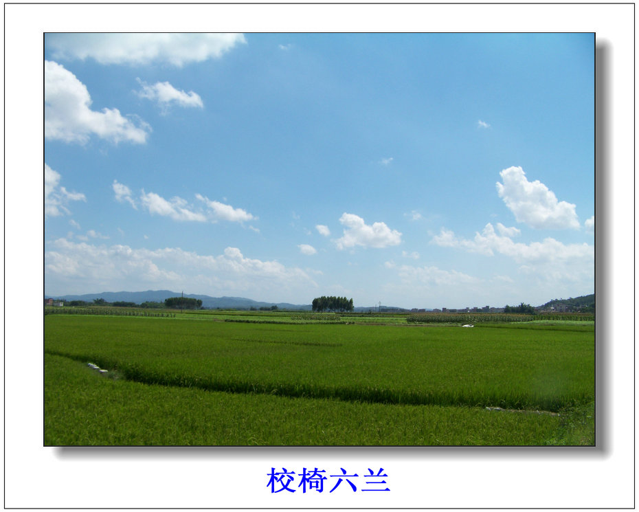 100_8490.jpg
