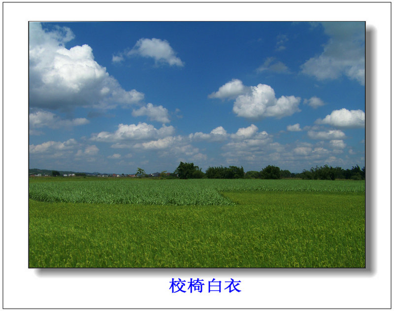 100_8496.jpg