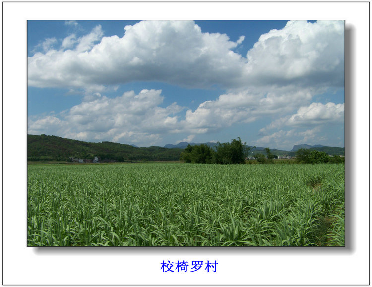 100_8498.jpg