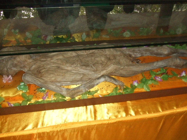 DSCF6439.JPG