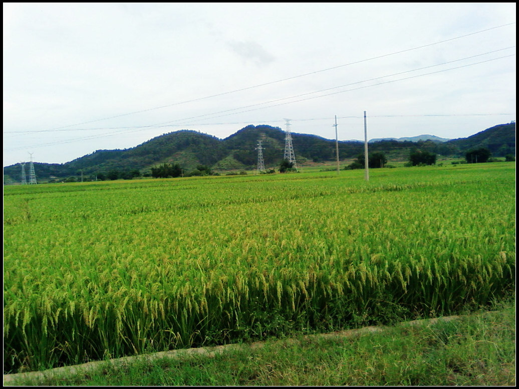 SP_A0185.jpg