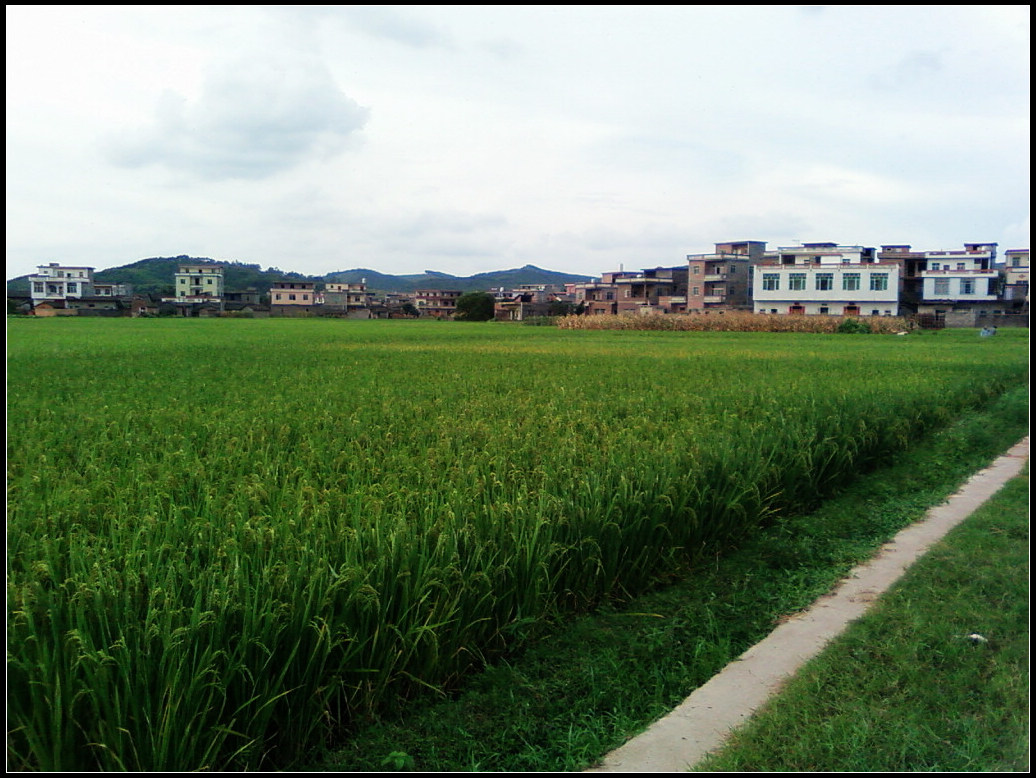 SP_A0183.jpg