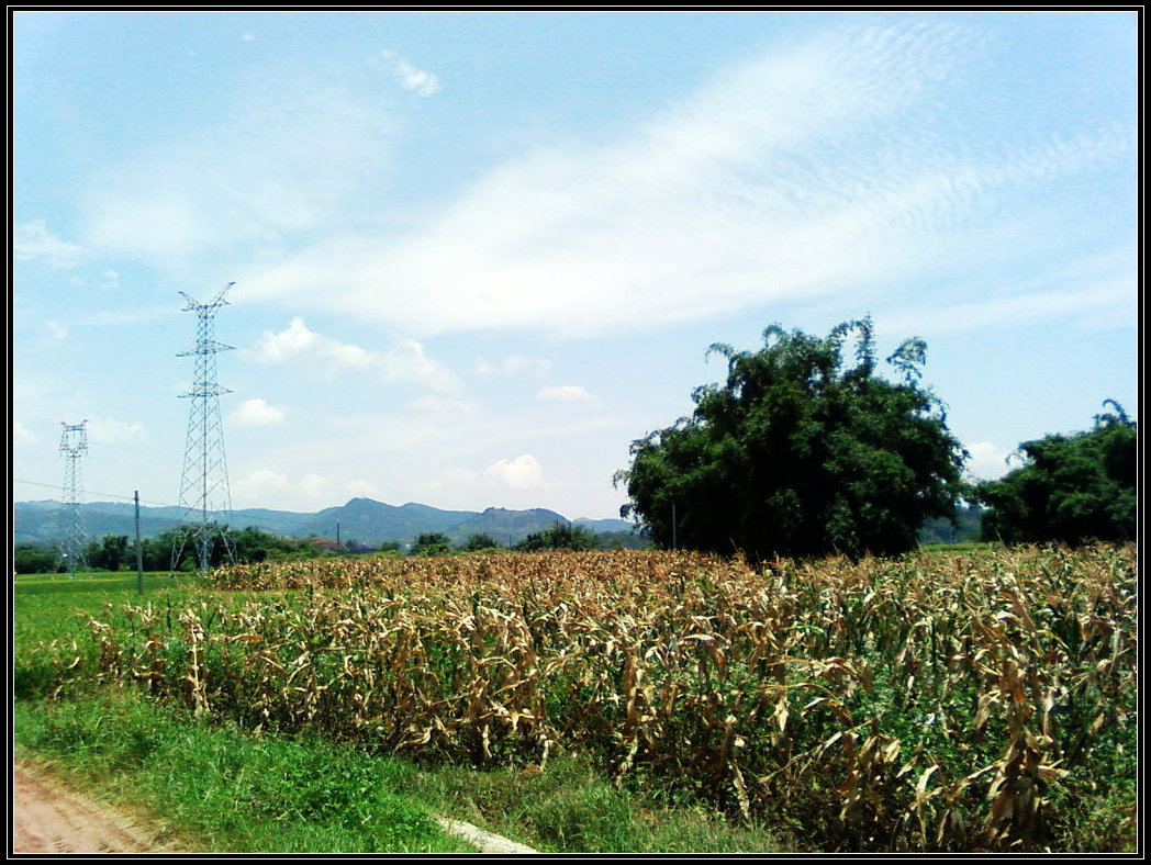 SP_A0190.jpg