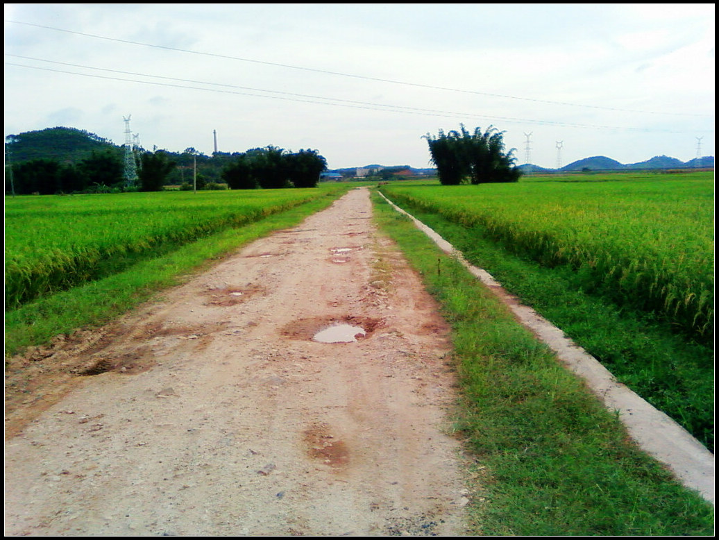 SP_A0184.jpg