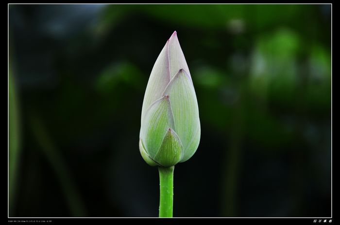 DSC_2316.jpg