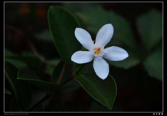 DSC_2397.jpg