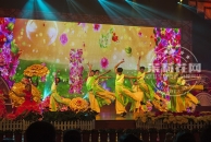【花都影像】“美丽家园 幸福吉祥”2015年横县春节联欢晚会